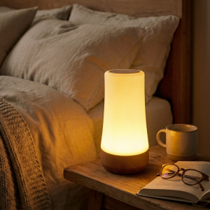 Luz Led Recargable Marrón