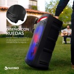 Parlante 2X10" Negro