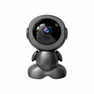 Cámara Inalámbrica Gris