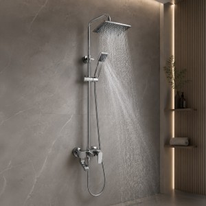 Ducha Monocomando Con Rociador Plateado