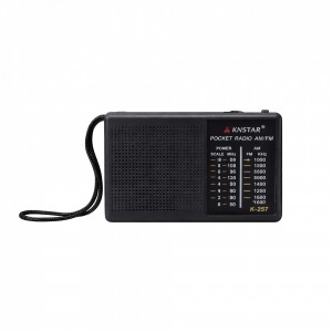 Radio Am/Fm Negro