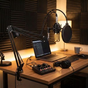 Micrófono Condensador Negro