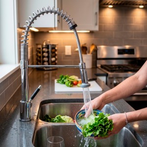 Canilla Grifería De Cocina